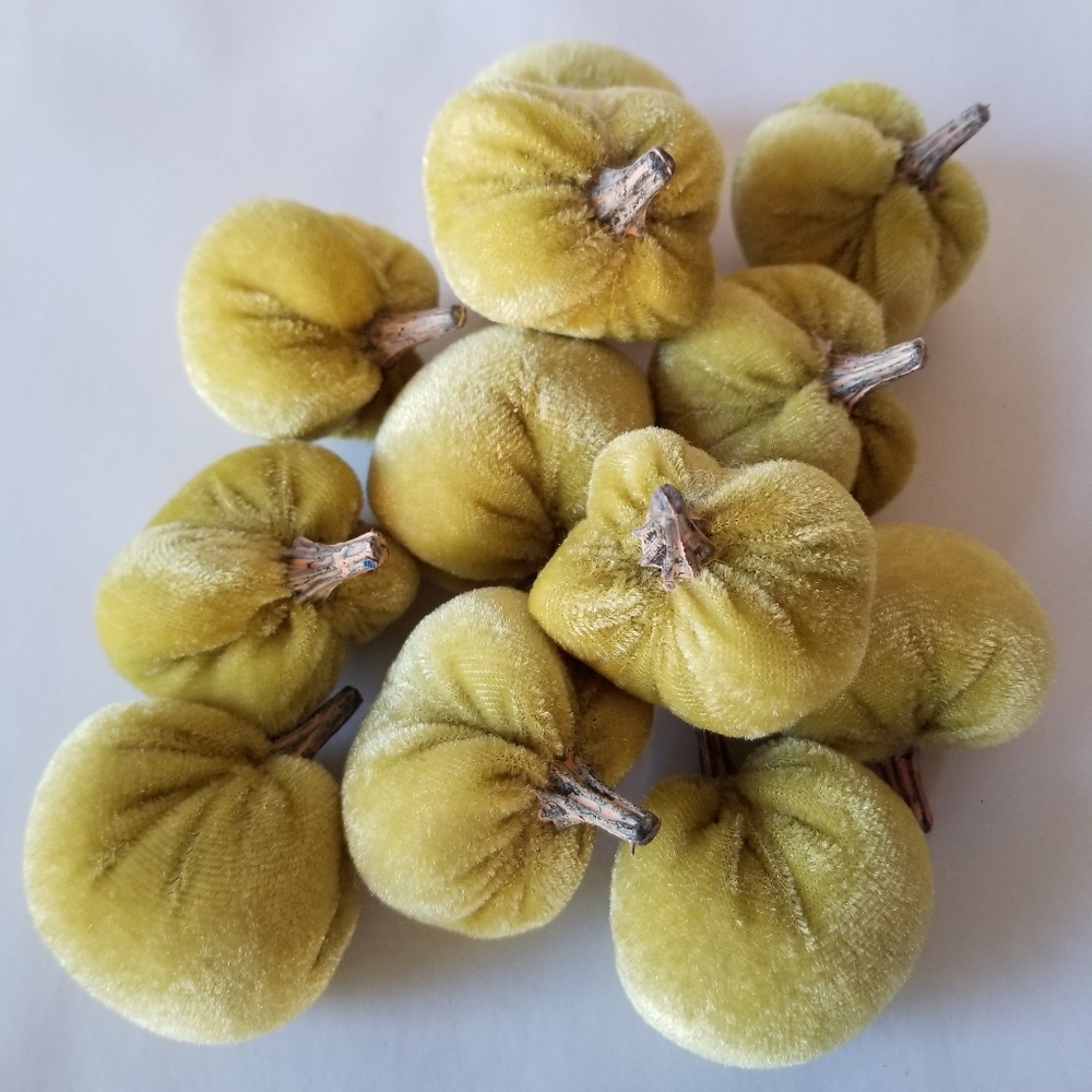 Mini Pumpkins